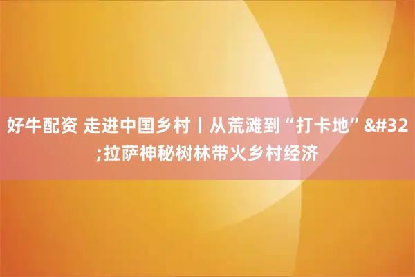 好牛配资 走进中国乡村丨从荒滩到“打卡地”&#32;拉萨神秘树林带火乡村经济