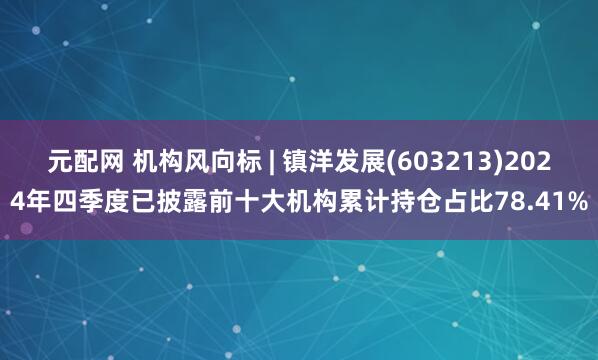 元配网 机构风向标 | 镇洋发展(603213)2024年四季度已披露前十大机构累计持仓占比78.41%