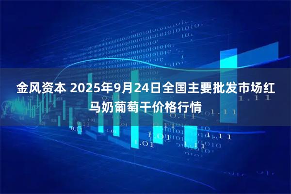 金风资本 2025年9月24日全国主要批发市场红马奶葡萄干价格行情