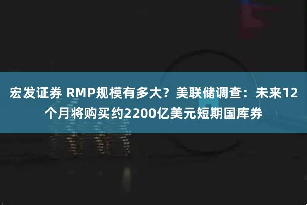 宏发证券 RMP规模有多大？美联储调查：未来12个月将购买约2200亿美元短期国库券