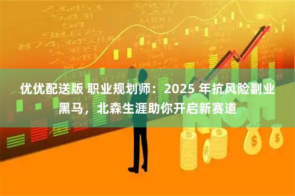 优优配送版 职业规划师：2025 年抗风险副业黑马，北森生涯助你开启新赛道